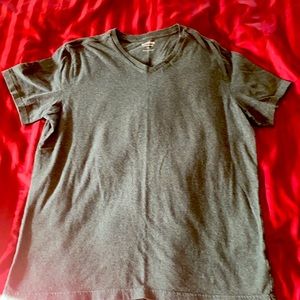 Express V neck Tshirt